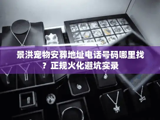 景洪宠物安葬地址电话号码哪里找？正规火化避坑实录