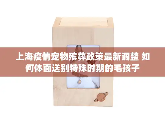 上海疫情宠物殡葬政策最新调整 如何体面送别特殊时期的毛孩子