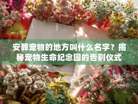 安葬宠物的地方叫什么名字？揭秘宠物生命纪念园的告别仪式