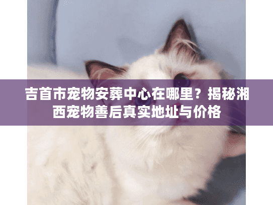 吉首市宠物安葬中心在哪里？揭秘湘西宠物善后真实地址与价格
