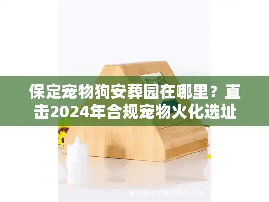 保定宠物狗安葬园在哪里？直击2024年合规宠物火化选址