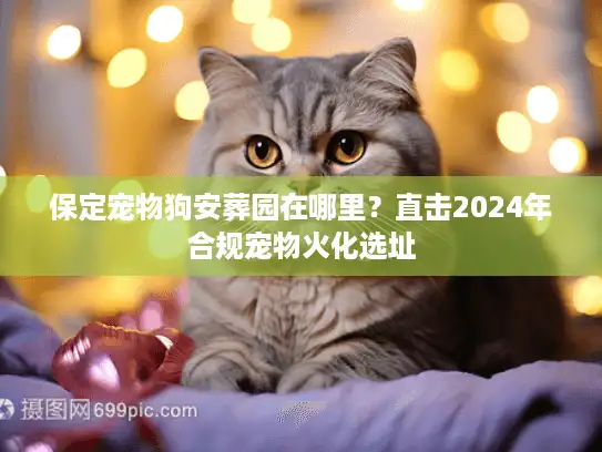 保定宠物狗安葬园在哪里？直击2024年合规宠物火化选址