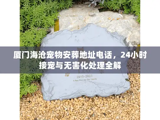 厦门海沧宠物安葬地址电话，24小时接宠与无害化处理全解