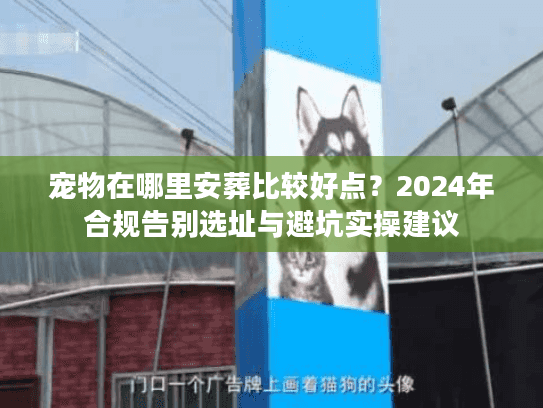 宠物在哪里安葬比较好点？2024年合规告别选址与避坑实操建议