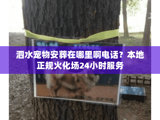 泗水宠物安葬在哪里啊电话？本地正规火化场24小时服务