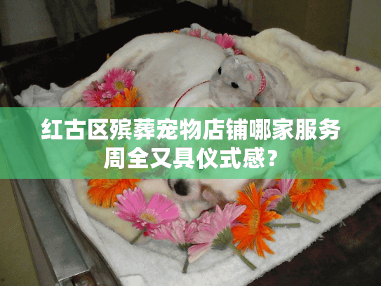 红古区殡葬宠物店铺哪家服务周全又具仪式感? 红古区殡葬宠物店铺哪家服务周全又具仪式感?