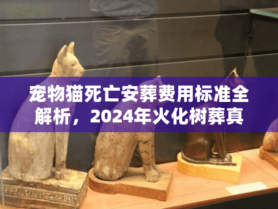宠物猫死亡安葬费用标准全解析,2024年火化树葬真实报价与内幕 宠物猫死亡安葬费用标准全解析,2024年火化树葬真实报价与内幕