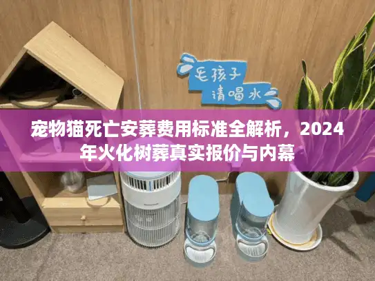 宠物猫死亡安葬费用标准全解析,2024年火化树葬真实报价与内幕 宠物猫死亡安葬费用标准全解析,2024年火化树葬真实报价与内幕
