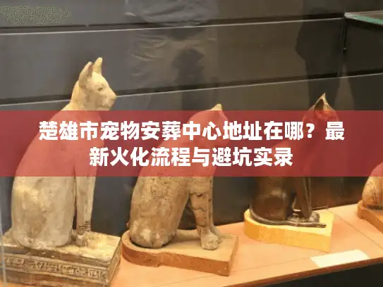 楚雄市宠物安葬中心地址在哪？最新火化流程与避坑实录