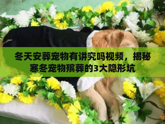 冬天安葬宠物有讲究吗视频，揭秘寒冬宠物殡葬的3大隐形坑