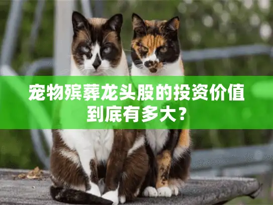 宠物殡葬龙头股的投资价值到底有多大？