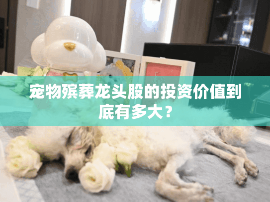 宠物殡葬龙头股的投资价值到底有多大？