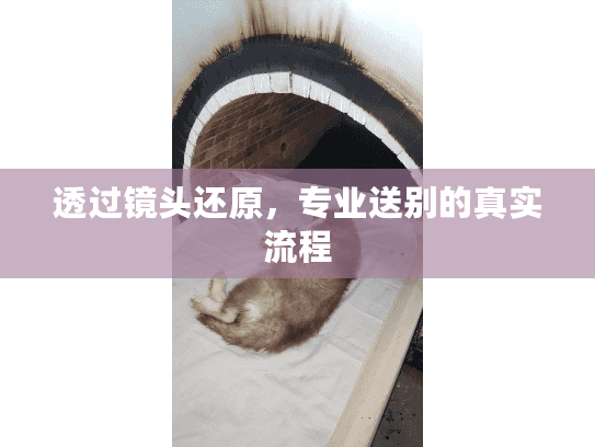 透过镜头还原,专业送别的真实流程 透过镜头还原,专业送别的真实流程