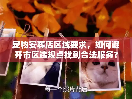 宠物安葬店区域要求，如何避开市区违规点找到合法服务？