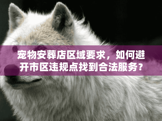 宠物安葬店区域要求，如何避开市区违规点找到合法服务？