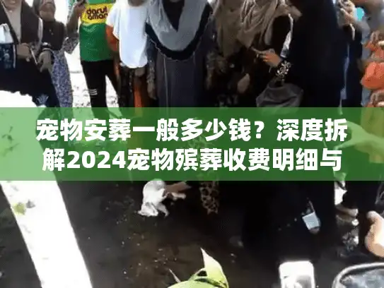 宠物安葬一般多少钱？深度拆解2024宠物殡葬收费明细与避坑