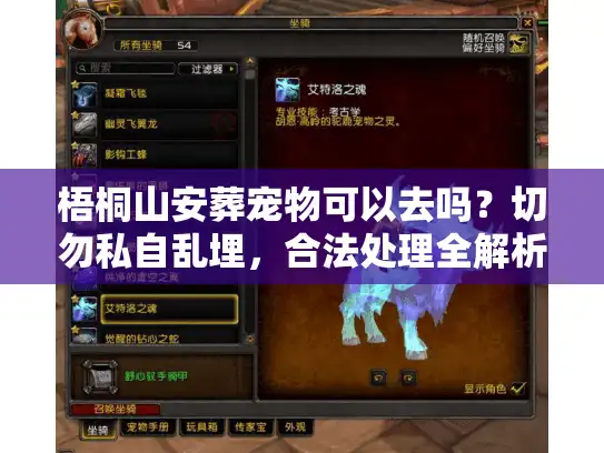 梧桐山安葬宠物可以去吗？切勿私自乱埋，合法处理全解析