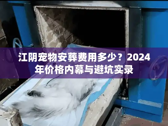 江阴宠物安葬费用多少?2024年价格内幕与避坑实录 江阴宠物安葬费用多少?2024年价格内幕与避坑实录