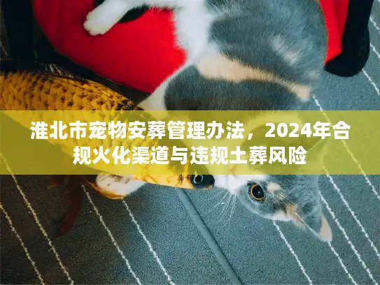 淮北市宠物安葬管理办法，2024年合规火化渠道与违规土葬风险