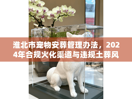 淮北市宠物安葬管理办法，2024年合规火化渠道与违规土葬风险