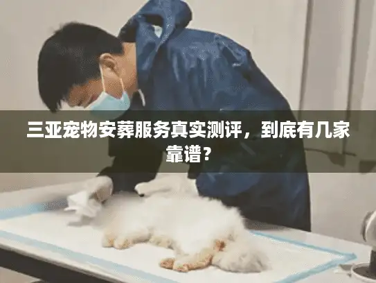 三亚宠物安葬服务真实测评,到底有几家靠谱? 三亚宠物安葬服务真实测评,到底有几家靠谱?