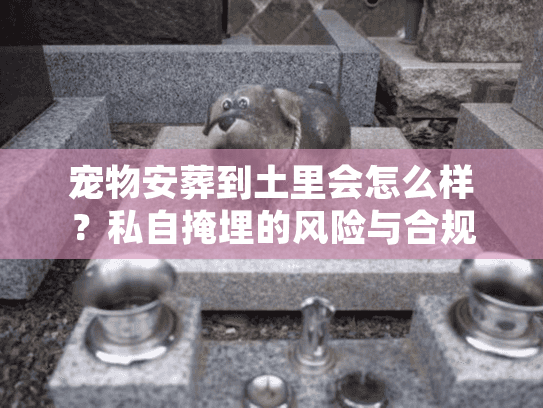 宠物安葬到土里会怎么样？私自掩埋的风险与合规树葬全揭秘