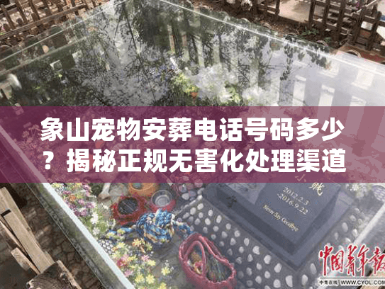 象山宠物安葬电话号码多少?揭秘正规无害化处理渠道 象山宠物安葬电话号码多少?揭秘正规无害化处理渠道