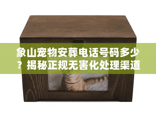 象山宠物安葬电话号码多少?揭秘正规无害化处理渠道 象山宠物安葬电话号码多少?揭秘正规无害化处理渠道