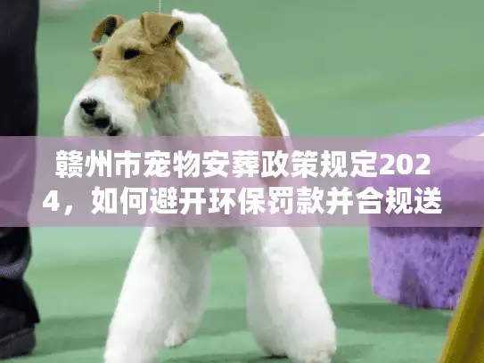 赣州市宠物安葬政策规定2024，如何避开环保罚款并合规送别爱宠？