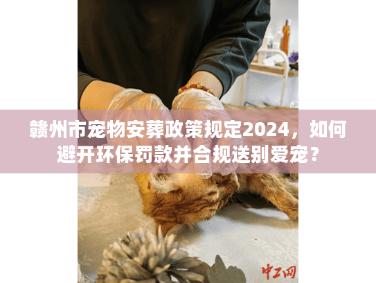 赣州市宠物安葬政策规定2024，如何避开环保罚款并合规送别爱宠？