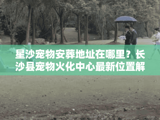 星沙宠物安葬地址在哪里？长沙县宠物火化中心最新位置解析