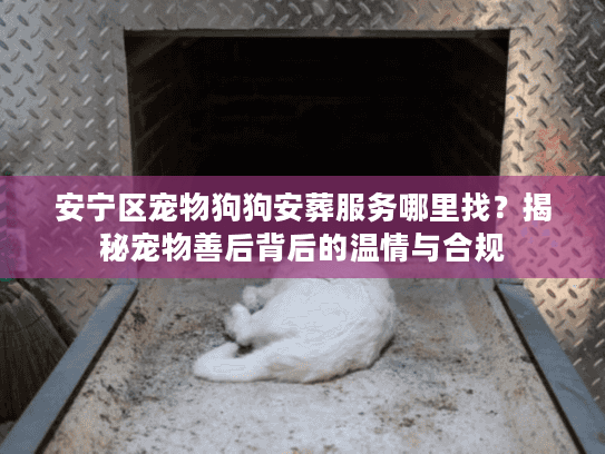 安宁区宠物狗狗安葬服务哪里找?揭秘宠物善后背后的温情与合规 安宁区宠物狗狗安葬服务哪里找?揭秘宠物善后背后的温情与合规