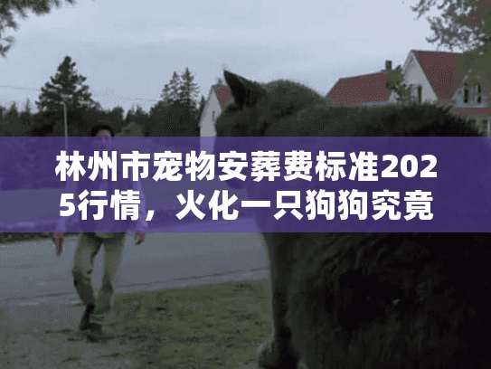 林州市宠物安葬费标准2025行情,火化一只狗狗究竟要花多少钱? 林州市宠物安葬费标准2025行情,火化一只狗狗究竟要花多少钱?
