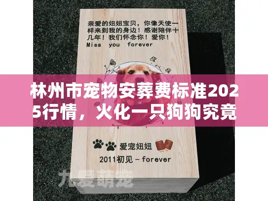 林州市宠物安葬费标准2025行情,火化一只狗狗究竟要花多少钱? 林州市宠物安葬费标准2025行情,火化一只狗狗究竟要花多少钱?