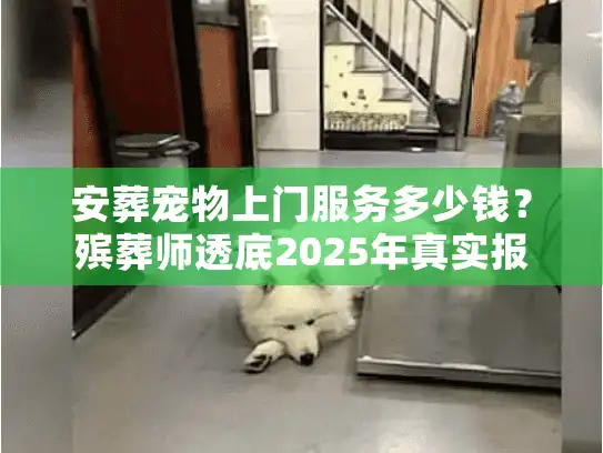 安葬宠物上门服务多少钱？殡葬师透底2025年真实报价与避坑实招