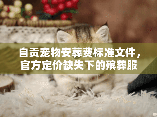 自贡宠物安葬费标准文件，官方定价缺失下的殡葬服务真相