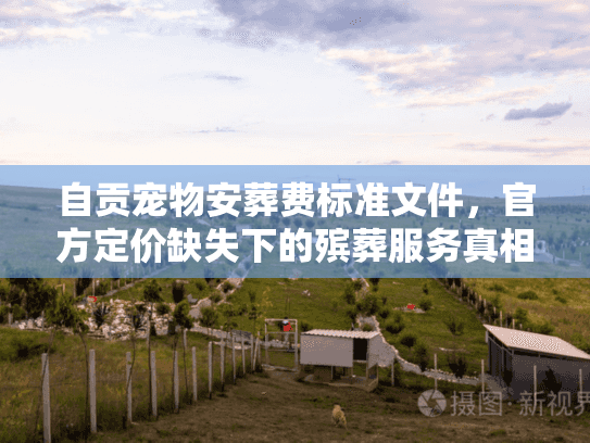 自贡宠物安葬费标准文件，官方定价缺失下的殡葬服务真相