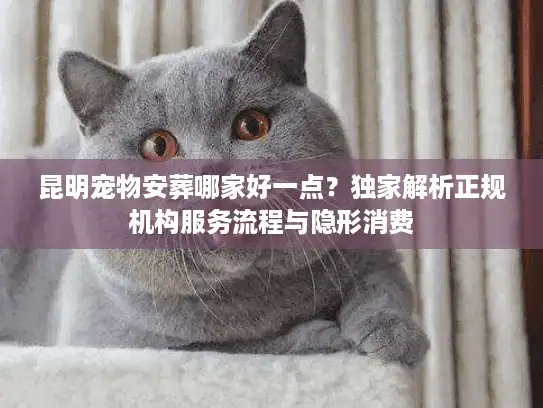 昆明宠物安葬哪家好一点？独家解析正规机构服务流程与隐形消费