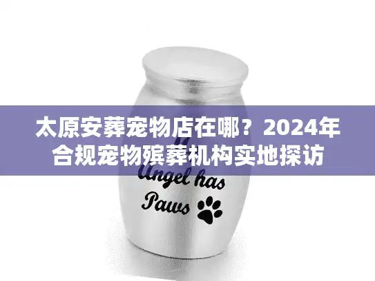 太原安葬宠物店在哪？2024年合规宠物殡葬机构实地探访