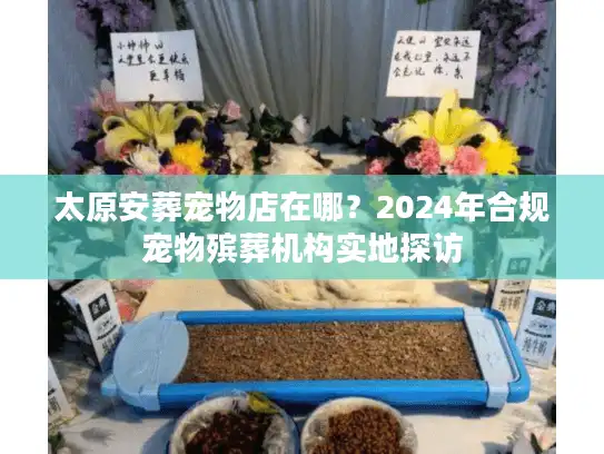 太原安葬宠物店在哪？2024年合规宠物殡葬机构实地探访