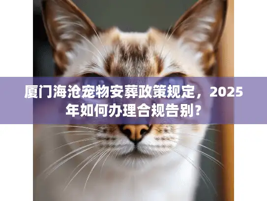 厦门海沧宠物安葬政策规定,2025年如何办理合规告别? 厦门海沧宠物安葬政策规定,2025年如何办理合规告别?