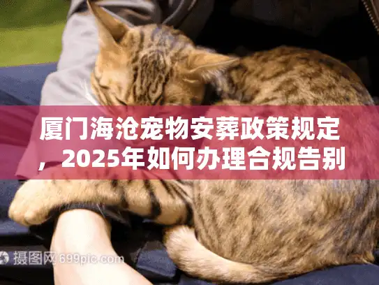 厦门海沧宠物安葬政策规定,2025年如何办理合规告别? 厦门海沧宠物安葬政策规定,2025年如何办理合规告别?