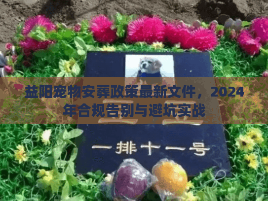 益阳宠物安葬政策最新文件，2024年合规告别与避坑实战