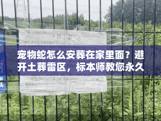 宠物蛇怎么安葬在家里面?避开土葬雷区,标本师教您永久留念 宠物蛇怎么安葬在家里面?避开土葬雷区,标本师教您永久留念