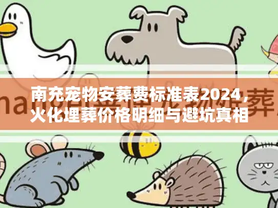 南充宠物安葬费标准表2024，火化埋葬价格明细与避坑真相