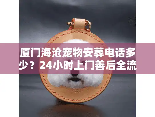 厦门海沧宠物安葬电话多少？24小时上门善后全流程揭秘