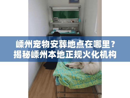 嵊州宠物安葬地点在哪里？揭秘嵊州本地正规火化机构