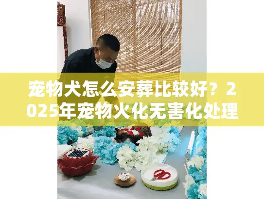 宠物犬怎么安葬比较好？2025年宠物火化无害化处理与告别仪式全解