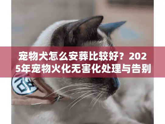 宠物犬怎么安葬比较好？2025年宠物火化无害化处理与告别仪式全解