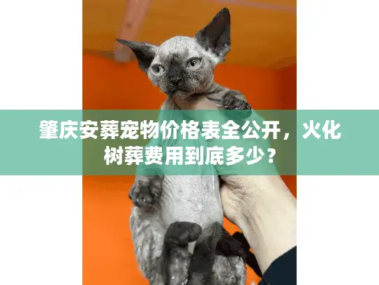 肇庆安葬宠物价格表全公开，火化树葬费用到底多少？